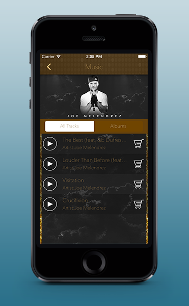 Music Player Features